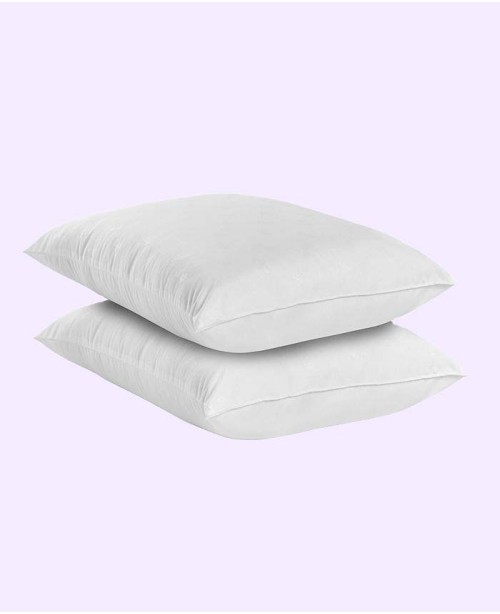 Reserve Cotton Fresh Pillow  Standard/Queen