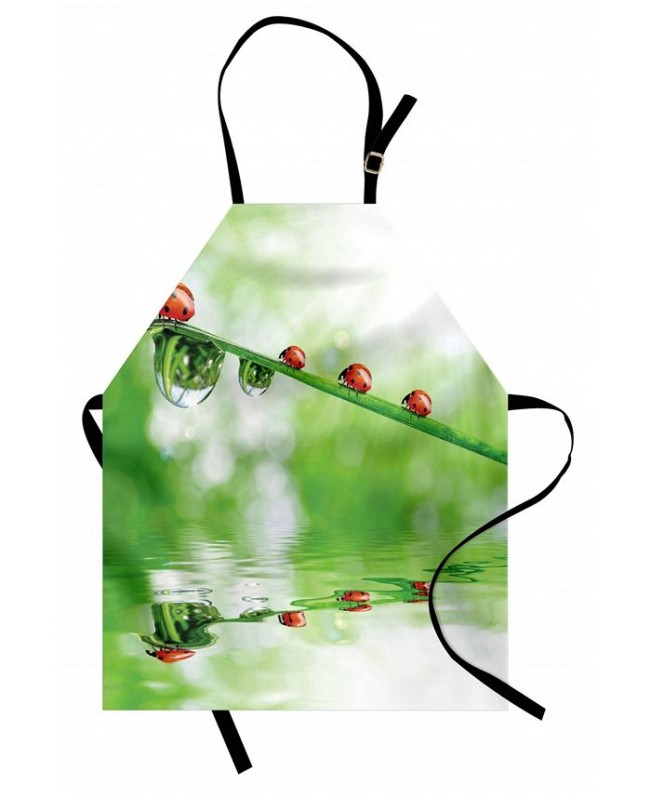 Ladybugs Apron