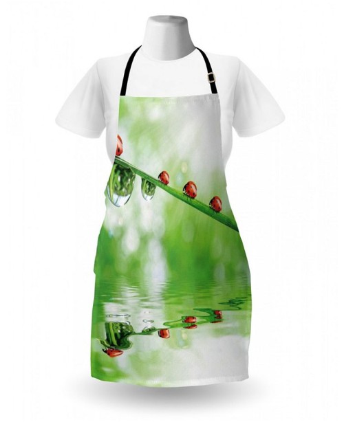 Ladybugs Apron